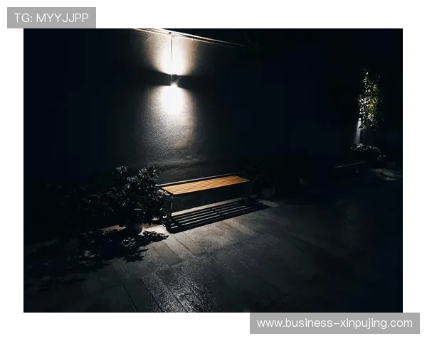 布儒斯特角奇妙光影探索与光学现象背后的秘密揭秘